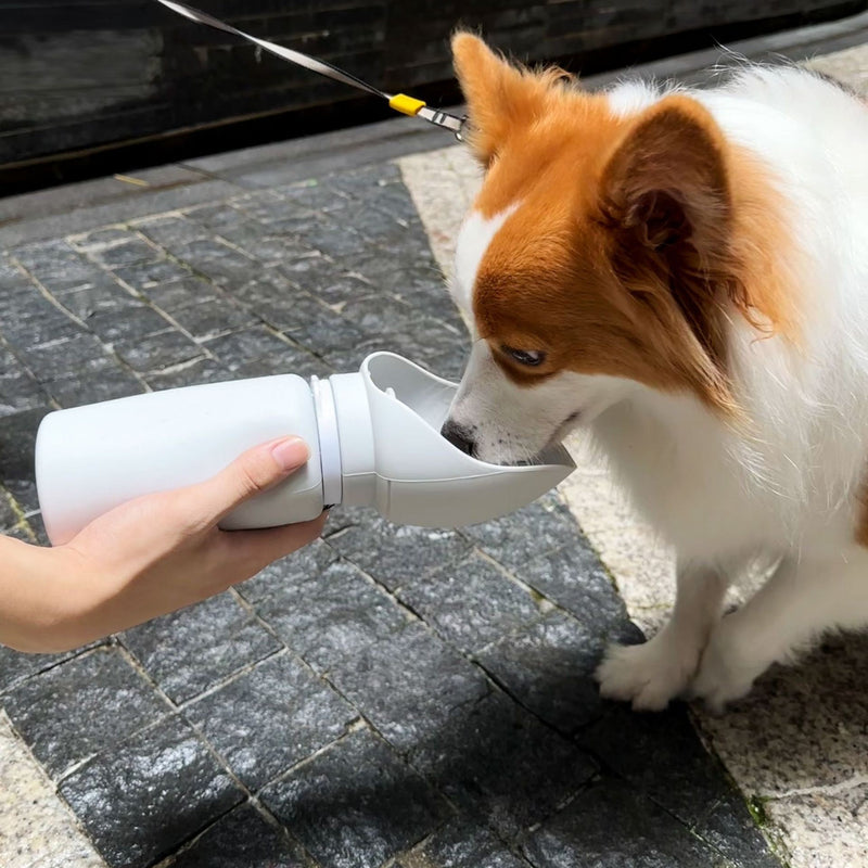 Foldable Silicone Pet Water Bottle (550ml)